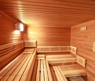 Commercial sauna cabin